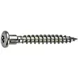 Skruv till Hålplatta/Spikbeslag 4,8x40mm - Specialfästen och Specialskruvar - 6417926311792 - 1
