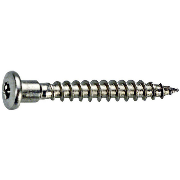 Skruv till Hålplatta/Spikbeslag 4,8x40mm - Specialfästen och Specialskruvar - 6417926311792 - 1