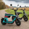 Coopop Rugged El-scooter 25km/h - Övriga trädgårdsmaskiner - 45552024 - 3