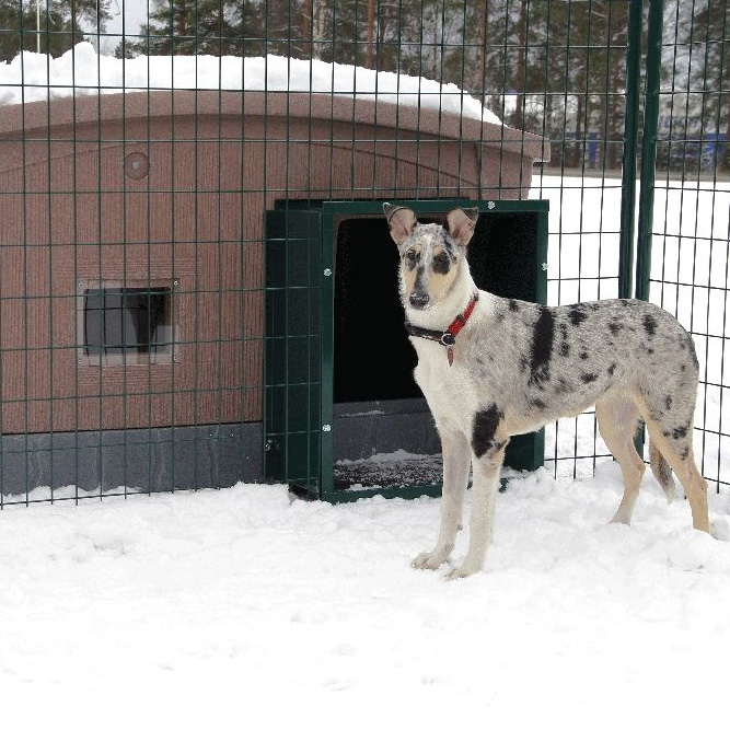 Tunnel till Hundkoja Jämpti - Hundkojor och Hundgårdar - 6438411010334 - 1