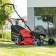 Självgående Gräsklippare MS161-46 Scheppach - Bränsledrivna Gräsklippare - 4046664139225 - 1