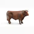 Bruder Tjur, Leksaksdjur - Leksaksdjur och Tillbehör - 4001702023096 - 1