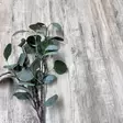Vinyylilankku Järnvik Natur Sviby KL33 - Andra Vinylgolv - 6430049655819 - 1