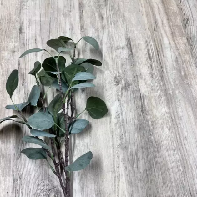 Vinyylilankku Järnvik Natur Sviby KL33 - Andra Vinylgolv - 6430049655819 - 1